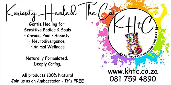 Kuriosity Healed the Cat