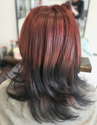 Hair by Lizelle - Red-black Ombre transformation a